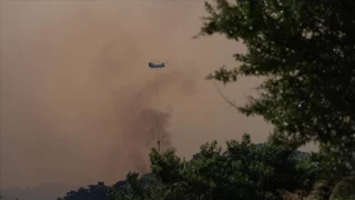 İletişim Başkanlığından orman yangınlarına ilişkin açıklama