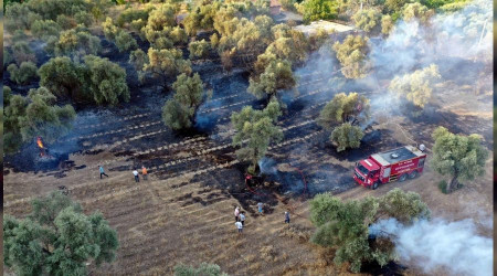 Kaynak yaparken arazisini yaktı