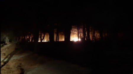 Kazdağları'nda örtü yangını söndürüldü