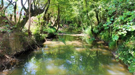 Körfez’in büyüleyen güzellikleri