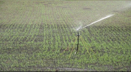 Kuraklık 30 yıl sonra tarla sulattı