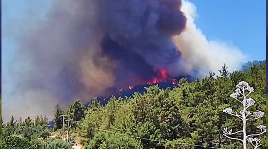 Muğla'daki orman yangını büyüyor