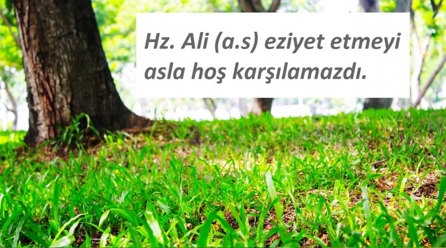 O, eziyet edilmesini hoş karşılamazdı