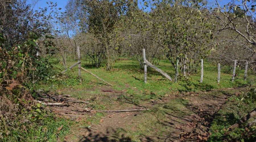 Otlatma tartışması kanlı bitti: 1 ölü