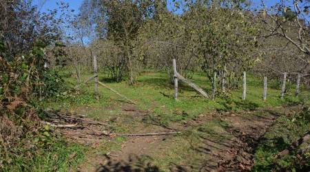 Otlatma tartışması kanlı bitti: 1 ölü