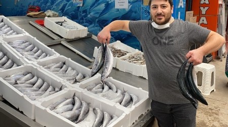 Palamut dar gelirlinin yüzünü güldürüyor