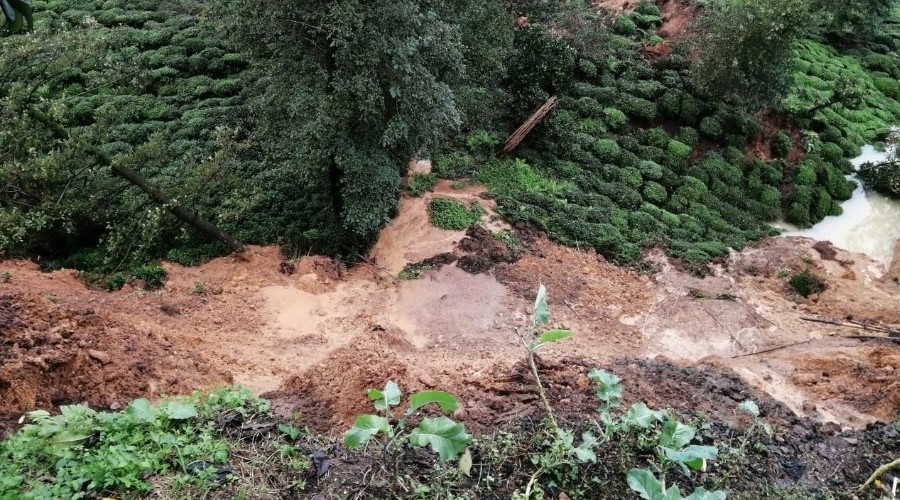 Rize'nin Pazar ilçesinde heyelan