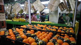 Rusya, sebze-meyve iadesinde lider