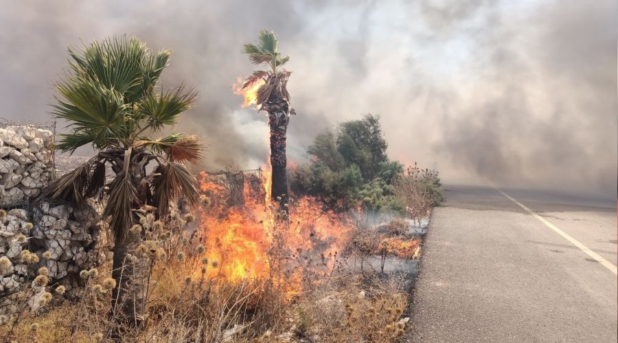 Seka'da çıkan yangın korkuttu