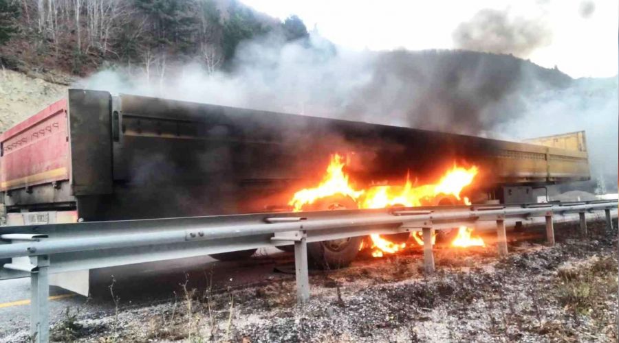 Seyir halindeki tırın dorsesi alevlere teslim oldu