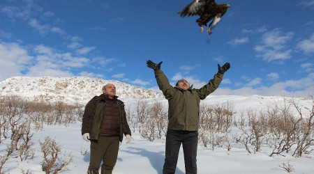 Şırnak "Yaban hayvanları için güven ve şifa yurdu oldu"
