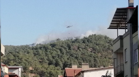 Soma'da orman yangını