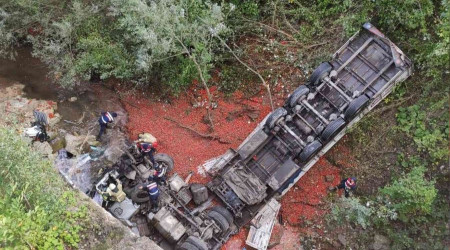 Tır viyadükten dereye uçtu