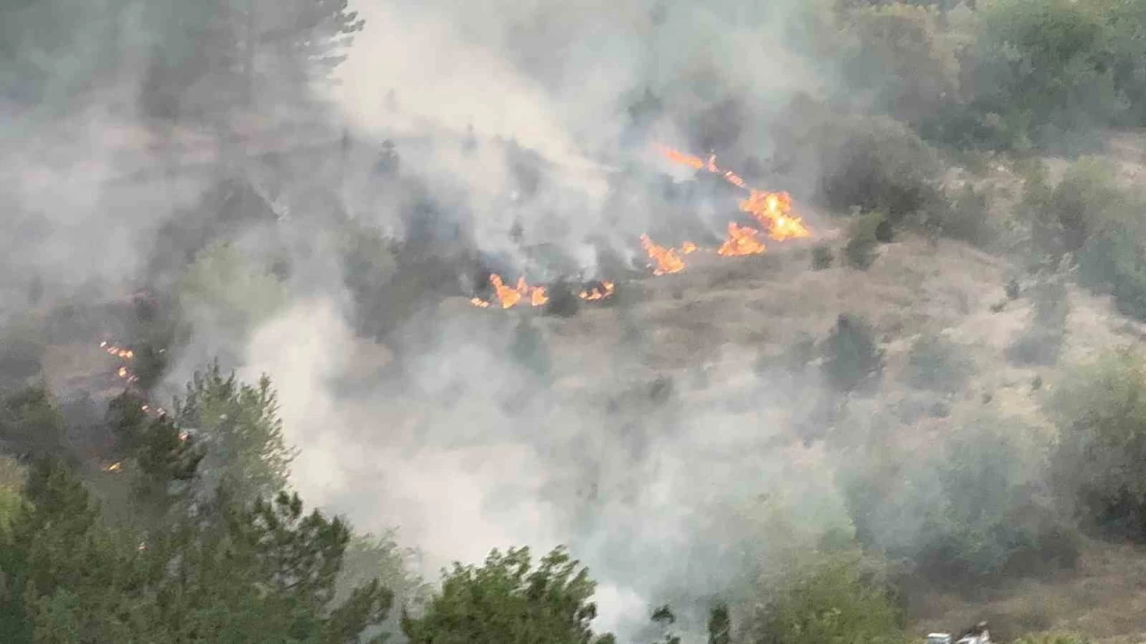 Tokat'ta korkutan orman yangını
