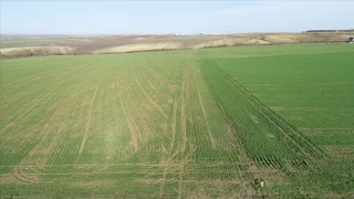 ‘Türk çiftçisi kendi arazisinde uluslararası şirketlerin kölesi olacak’