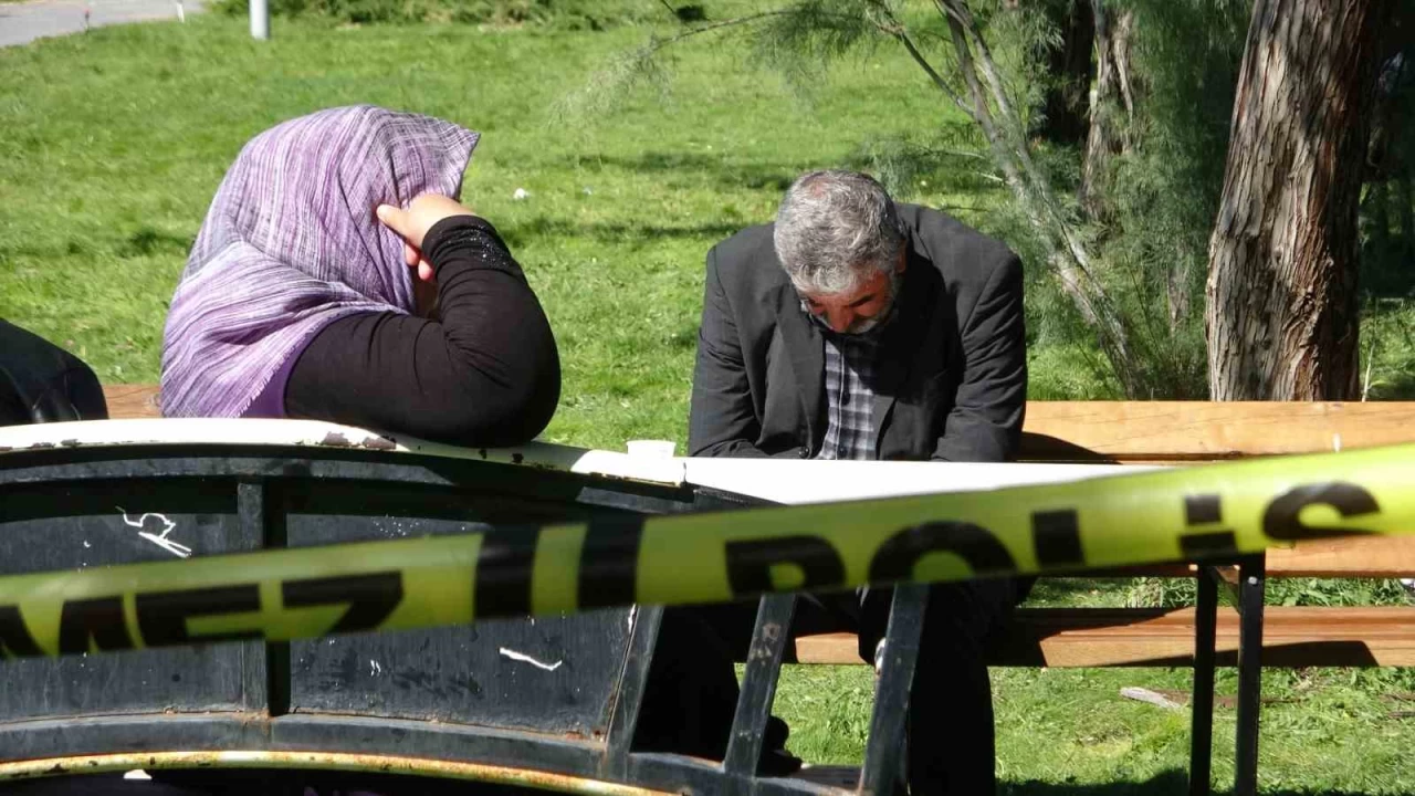 Van'da kaybolan Rojin 10 gündür aranıyor