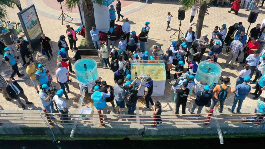 6 bin yavru balık İzmit Körfezi'ne salındı