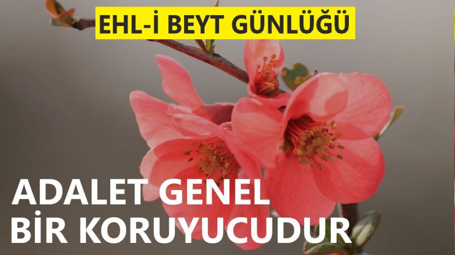 Adalet genel bir koruyucudur