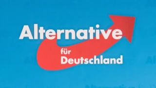 Almanya'da AfD, federal seçim için yapılan anket sonucuna göre yüzde 29 ile ilk sırada yer alıyor