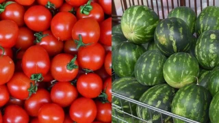 Ankaralılar 2023 yılında domates ve karpuzla karnını doyurdu!