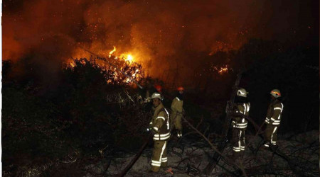 Arnavutköy'de orman yangını