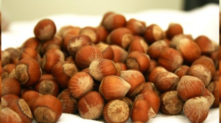 Avrupa'ya 8.7 bin ton fındık ihraç edildi