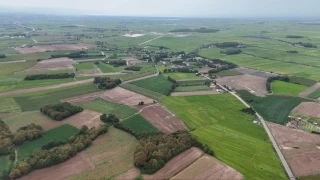 Bafra Ovas'nda tarm arazileri sular altnda