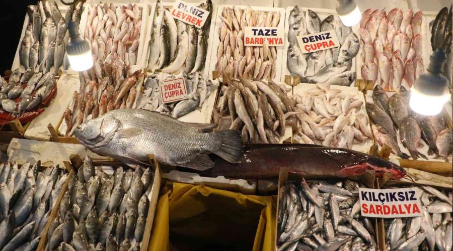 Balığın kulağına kar suyu kaçtı