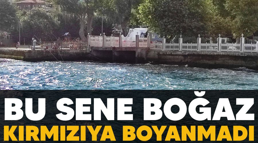 Bu sene Boğaz kırmızıya boyanmadı