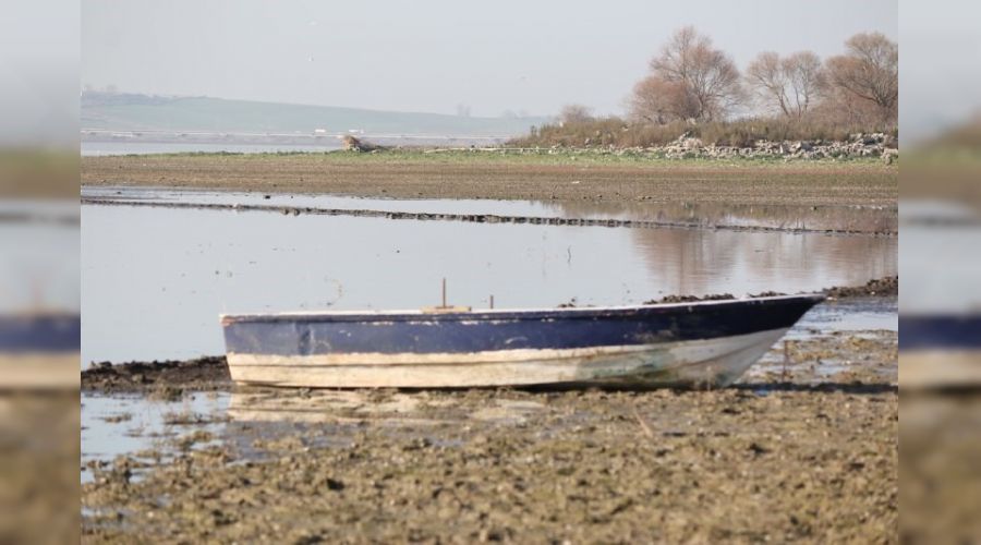 Büyükçekmece gölünde ürküten görüntü