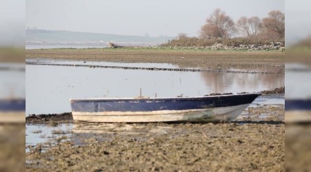 Büyükçekmece gölünde ürküten görüntü