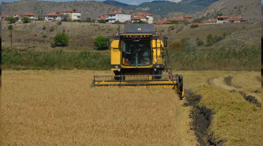 Çeltik üreticileri: 'Maliyetler düşürülsün'