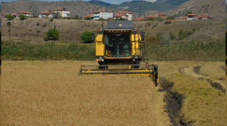 Çeltik üreticileri: 'Maliyetler düşürülsün'