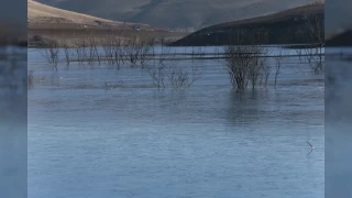 Erzurum, Ardahan ile Kars'ta souk hava etkili oluyor