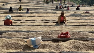  Etiyopya kaliteli kahvesiyle dikkat ekiyor