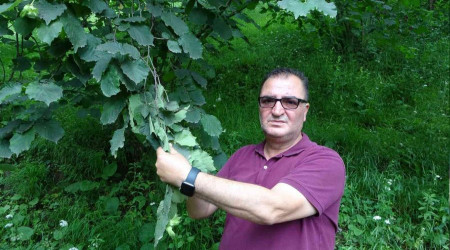 Fındık üreticisinin 'drakula' sevinci