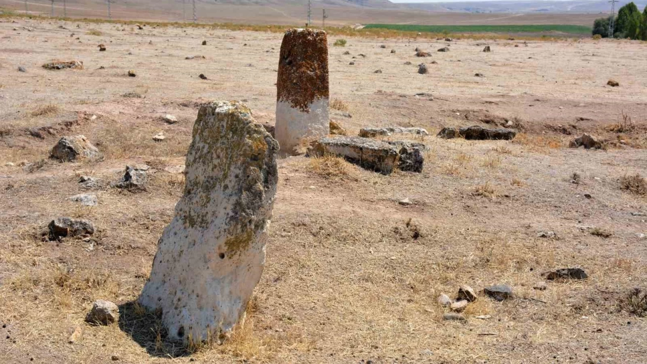 Gazi balıklar yok olma tehditi altında