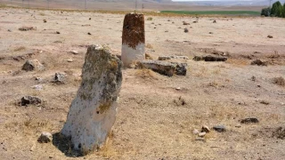 Gazi balıklar yok olma tehditi altında