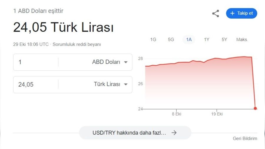 Google'da dolar/TL 28 TL'den 24 TL'ye dt