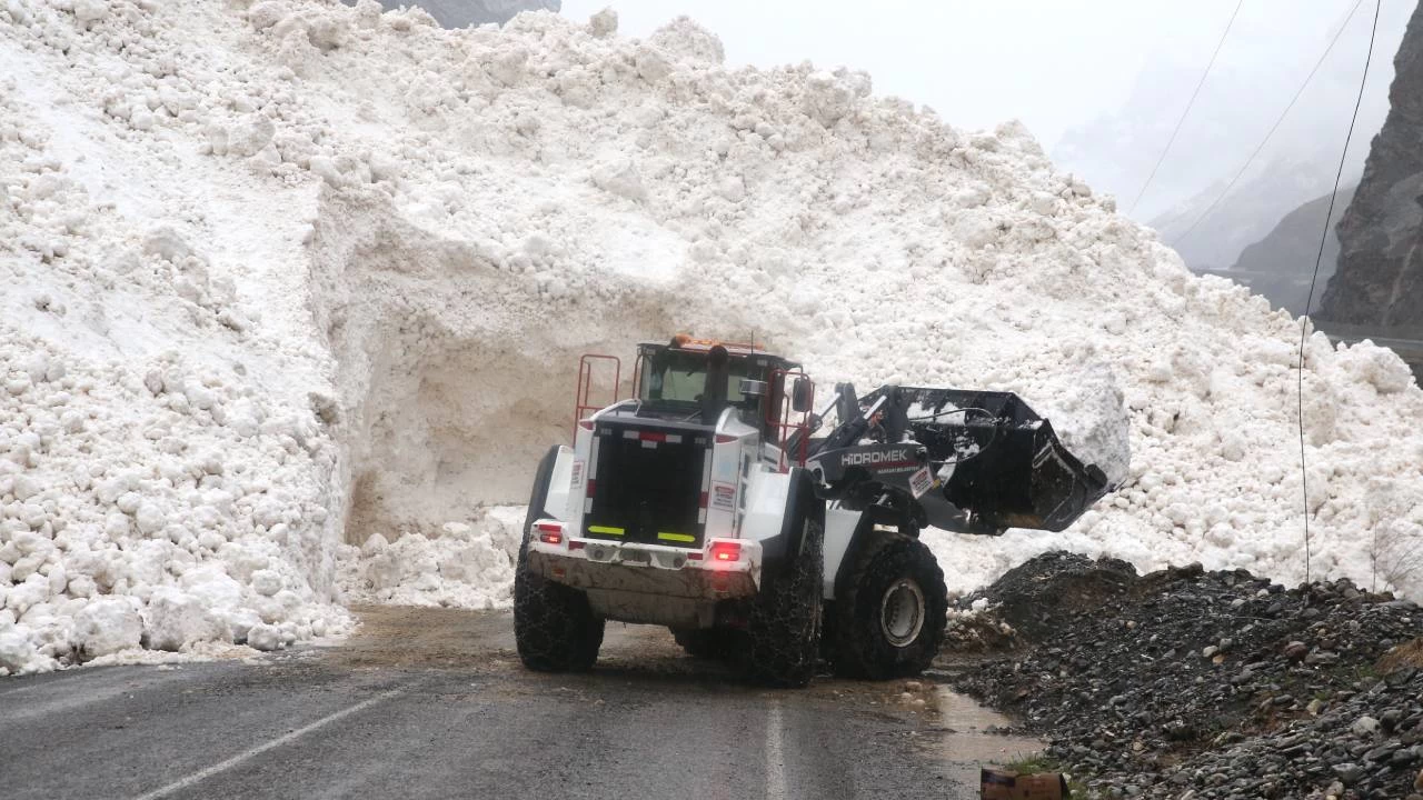 Hakkari-Çukurca kara yolu çığ nedeniyle kapandı
