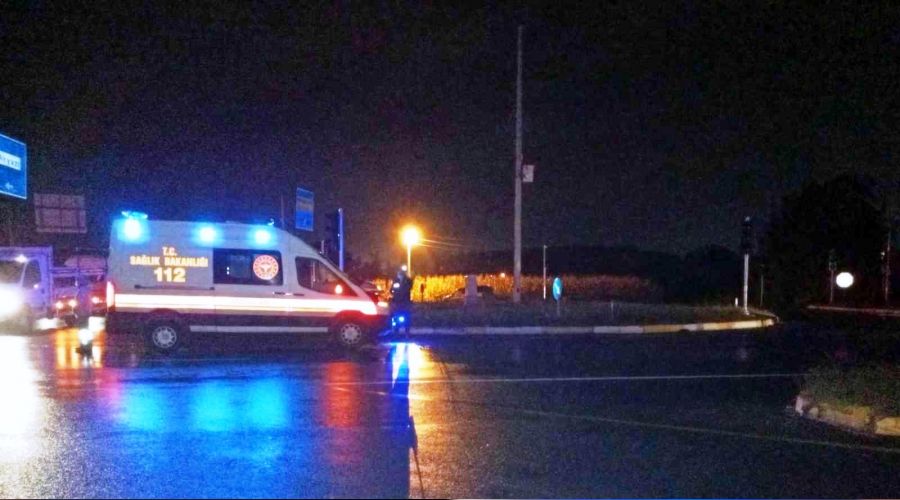 Hasta taşıyan ambulans ineğe çarptı