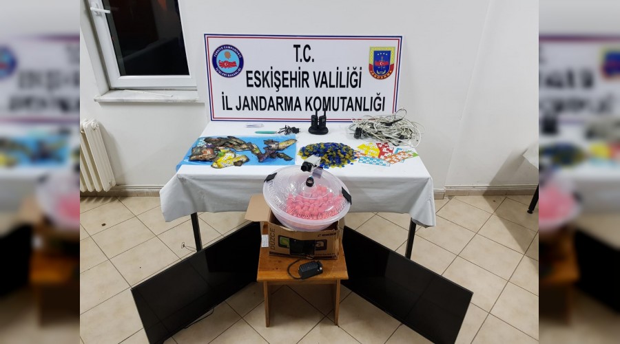 Hayvanları Koruma Derneği adı altında kumar