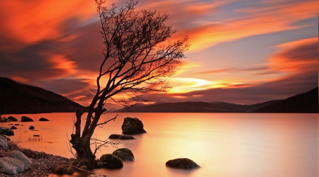 İşte Hz. Ali adaleti!