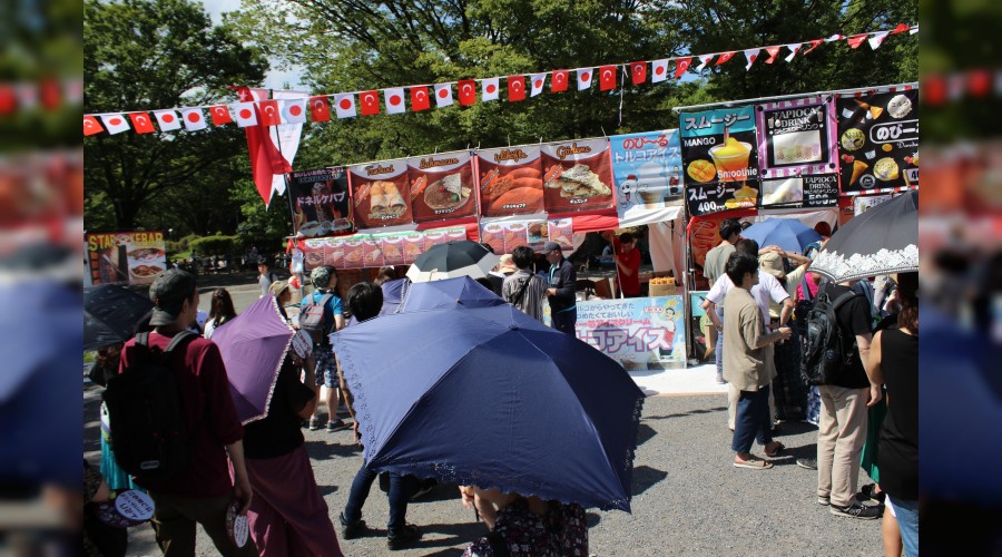 Japonya'da Türkiye Yılı