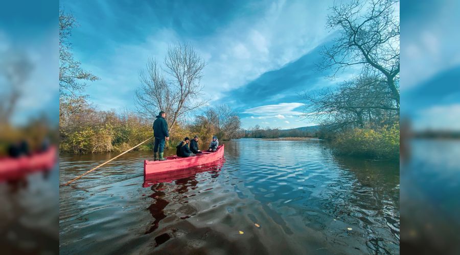 Longoz ormanları su ile buluşuyor