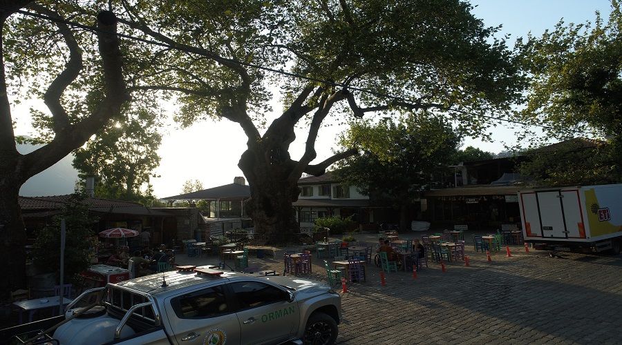 Marmaris'in 2000 yıllık yaşayan tarihi