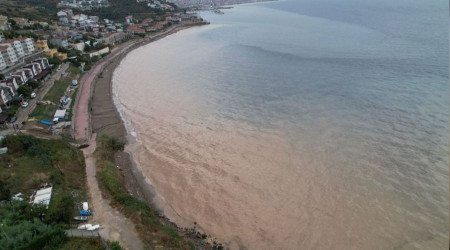 Mudanya Sahili çamura boyandı