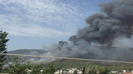Muğla’da, Dalaman ve Milas'tan sonra Fethiye'de yangın