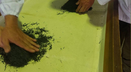 O çayın 1 kilosu 226 bin liraya satıldı