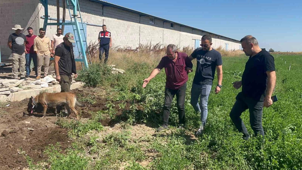 Öldürdüğü dayısına 'Hacca gitti' süsü vermiş